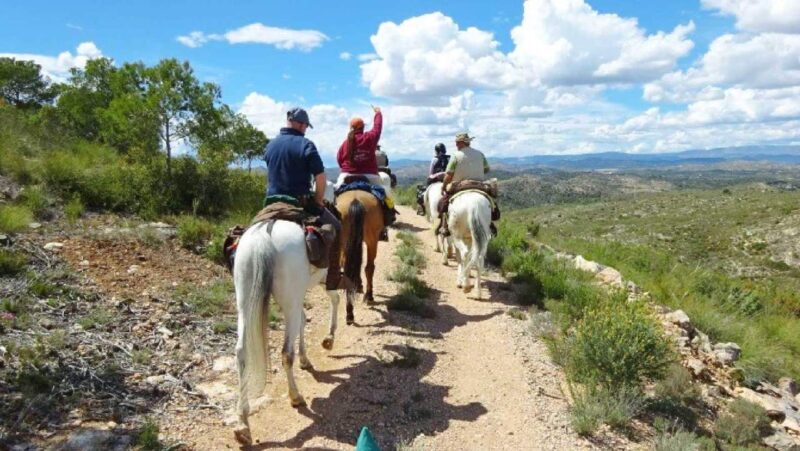 Paseos a caballo en Valencia