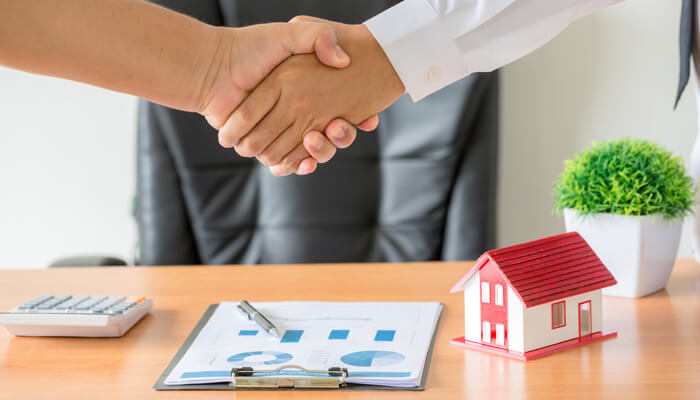 creacion de sociedad patrimonial