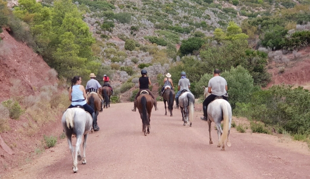 rutas a caballo en Valencia
