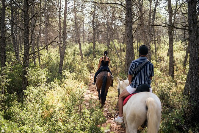 rutas a caballo en Valencia