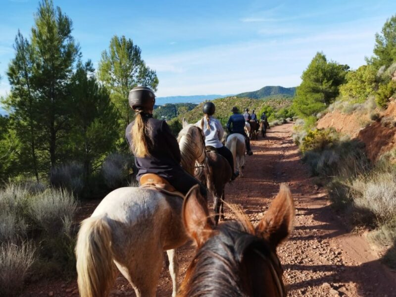 rutas a caballo en Valencia